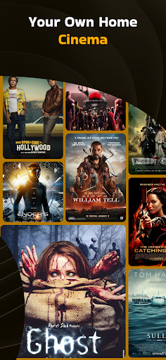 Movie Box LLC