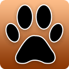 Music Video Downloader Mp3paw