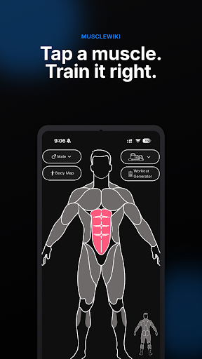 MuscleWiki: Workout & Fitness