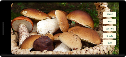 Mushroom picker PC