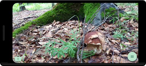 Mushroom picker PC