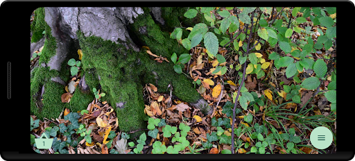 Mushroom picker PC
