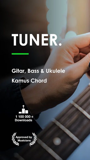 Guitar Tuner Pro: Music Tuning