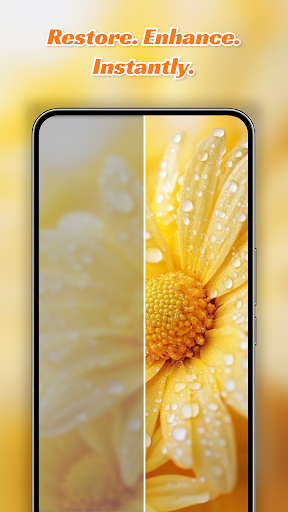 HD Camera