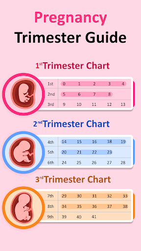 Pregnancy Tracker & Calculator PC