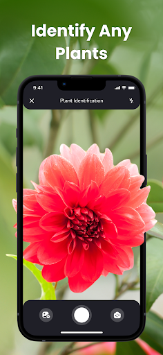 PlantIn: Plant Identification PC