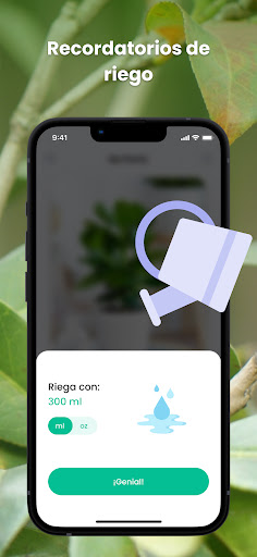 PlantIn: Identificar Planta PC