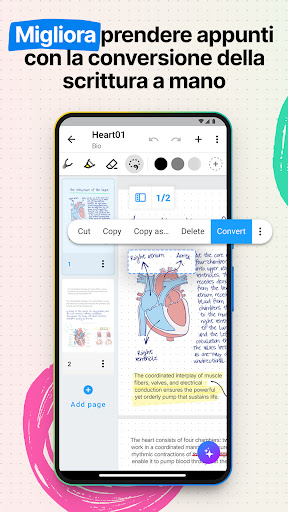 Nebo: Quaderno per Studenti