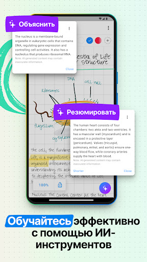 Nebo: Блокнот для студентов
