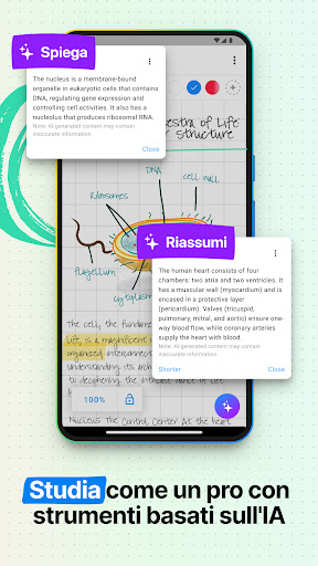 Nebo: Quaderno per Studenti