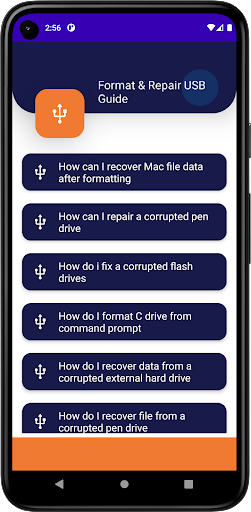 Format and Repair USB Guide পিসি