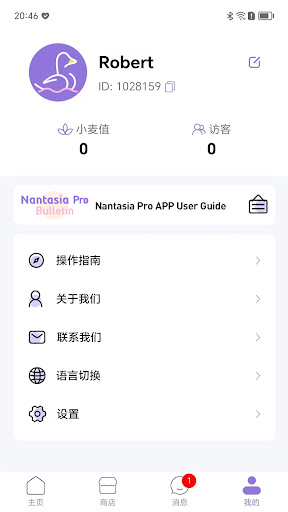 NantasiaPro PC版