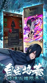 忍者激鬥：火之意志 PC