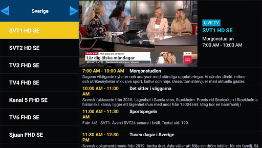 IPTV Tigerkanaler Player PC