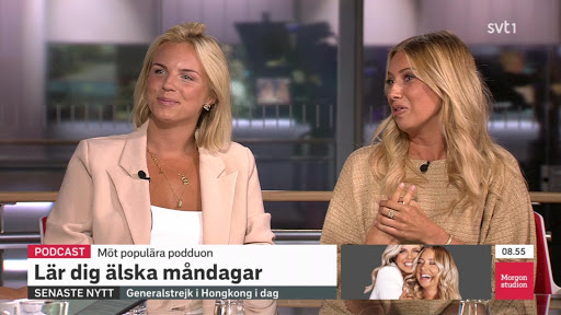 IPTV Tigerkanaler Player PC