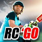 Real Cricket™ GO PC