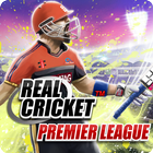 Real Cricket™ Premier League PC