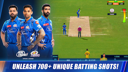 Real Cricket™ 24 পিসি