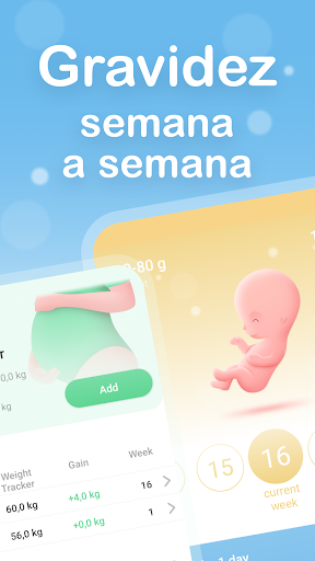 Minha gravidez semana a semana