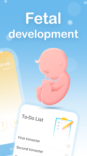 My Pregnancy - Baby Tracker PC