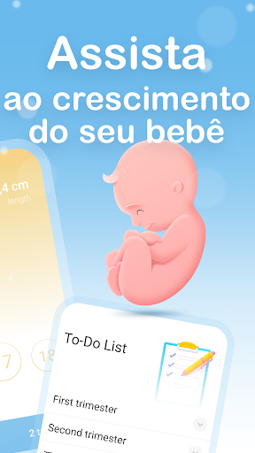 Minha gravidez semana a semana