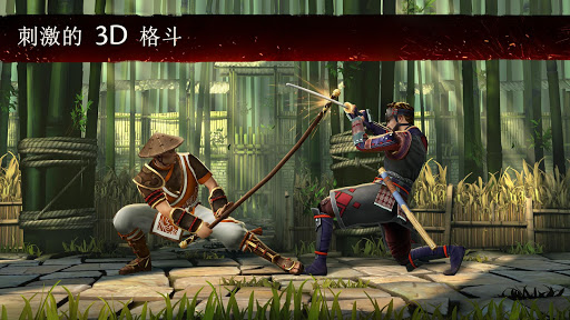 暗影格斗 3