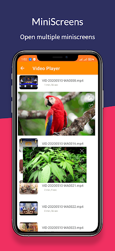 Video Player PC