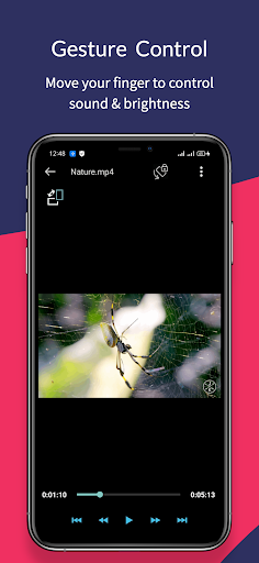 Video Player PC