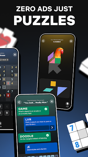 Netflix Puzzled电脑版