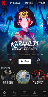 Netflix PC
