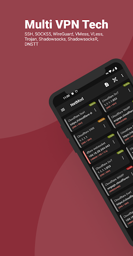 NetMod VPN Client (V2Ray/SSH)