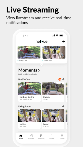 Netvue Next - In Sight In Mind PC