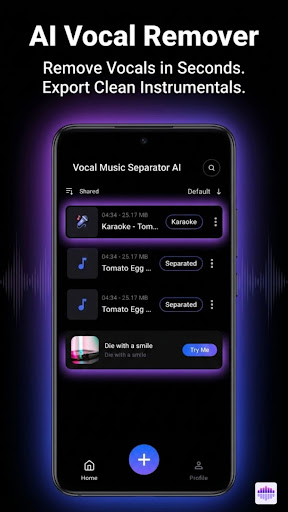 AI 보컬 및 음악 분리기 PC