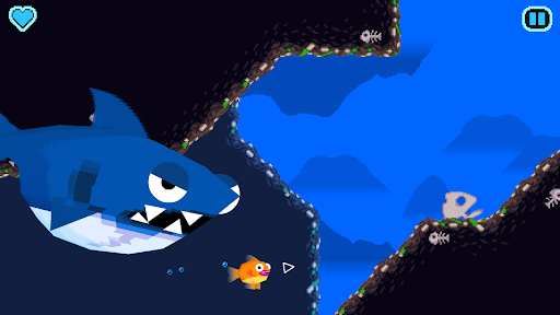 Little Fin الحاسوب