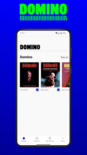 Rivista Domino PC