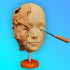 Face Sculpt 3D PC