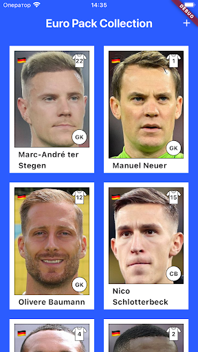 Euro 2024 Pack Collection PC