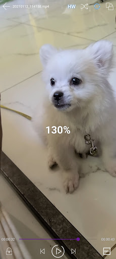 वीडियो फिल्म देखने PC