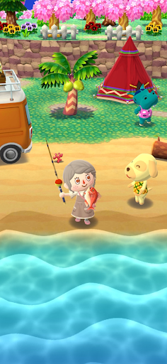 Animal Crossing: Pocket Camp C ???????