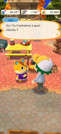 Animal Crossing: Pocket Camp C