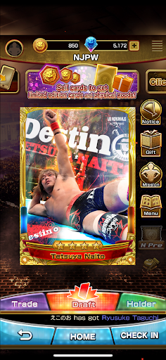 NJPW Collection