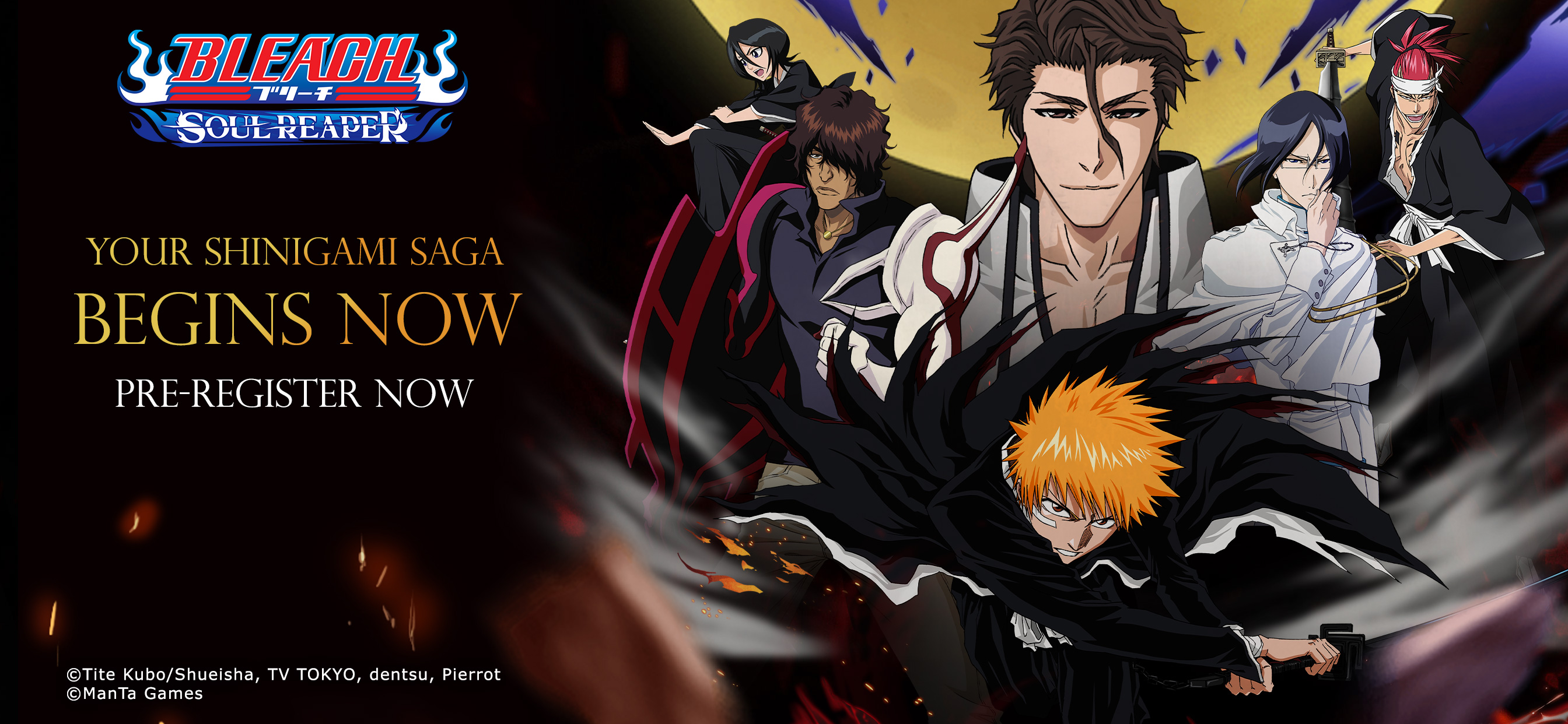 BLEACH: Soul Reaper PC