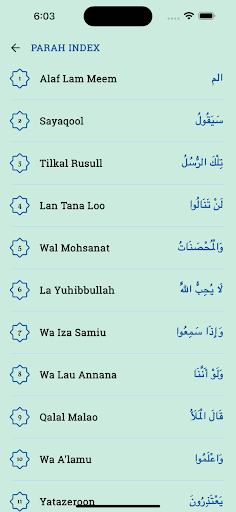 Quran PDF电脑版