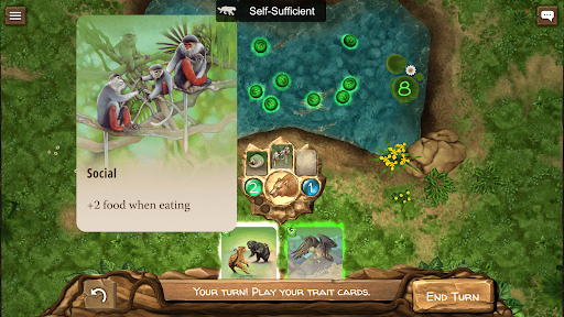 Nature Board Game PC