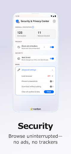 Norton Private Browser PC