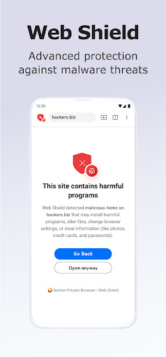 Norton Private Browser PC
