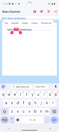 Not Defteri – Güvenli Notlar PC