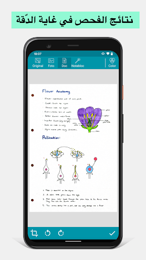 Notebloc Scanner - Scan to PDF