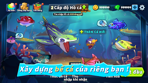 Fish Clash - Cá Lớn Nuốt Cá Bé