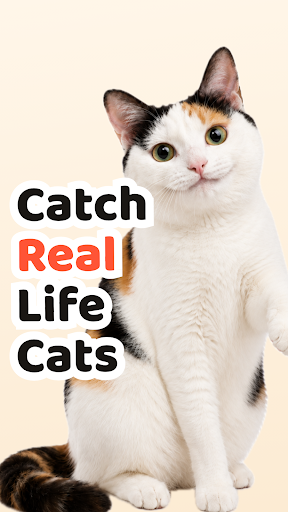 Cat Collector: Catch Real Cats PC
